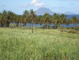 St Kitts Train Ride35